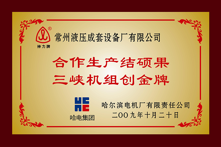 “合作生產(chǎn)結(jié)碩果三峽機(jī)組創(chuàng)金牌”稱(chēng)號(hào)